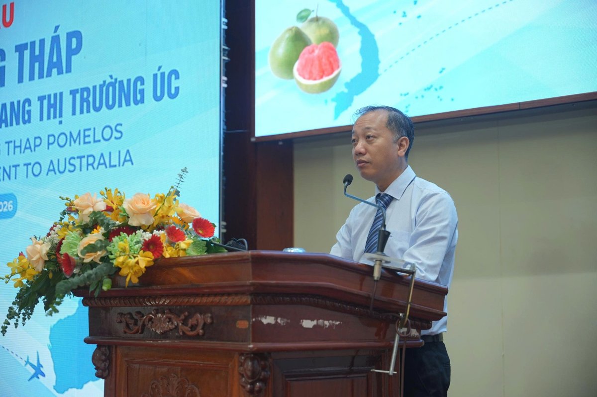 optimized web image 1