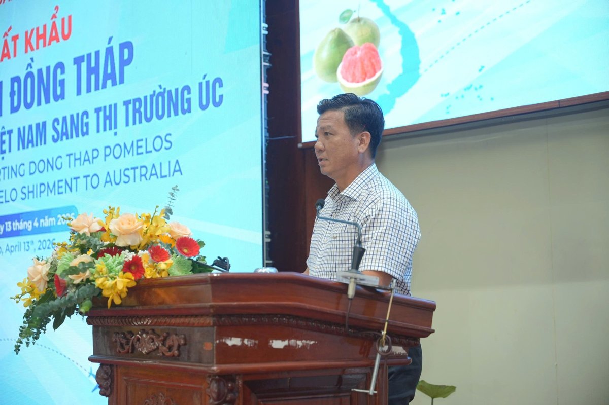 optimized web image 2