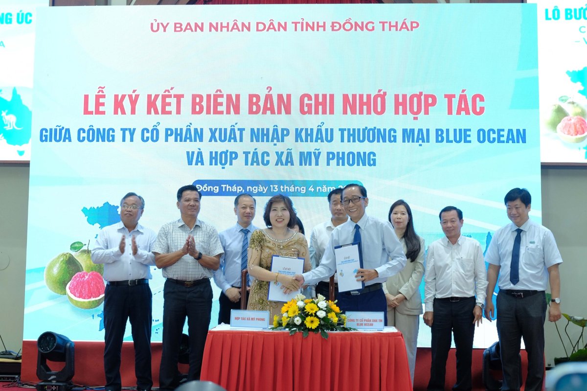 optimized web image 4