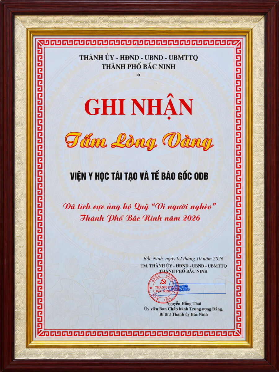 odb tam long vang 900x1200